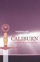 Caliburn: The Lost Saga of King Arthur
