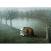 Bear Art Poster Print by Michael Sowa, 28x20