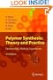 Polymer Synthesis: Theory and Practice: Fundamentals, Methods, Experiments