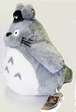 My Neighbor Totoro Gary 12