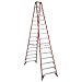 Werner Ladder