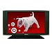 Electrograph 42 BuiltIn HD Plasma TV DTS4225PTD