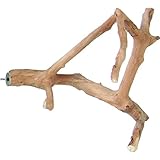 Java Wood Multi Branch Perch - Small - 16 in. x 1.2 in.