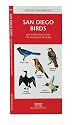 San Diego Birds: An Introduction to Familiar Species
