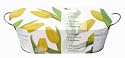 Yellow Windowsill Bulb Kit