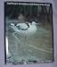 The Plovers, Sandpipers, and Snipes of the World