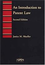 Introduction to Patent Law (Introduction to Law Series)