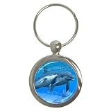 Dolphins Key Chain (Round)