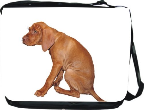 Hungarian Visla Puppy Dog Design Messenger Bag Laptop Bag School Bag - Unisex - Ideal Gift for all occassions!