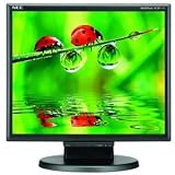 NEC LCD175M-BK 17 LCD Desktop Monitor with Built-In Speakers