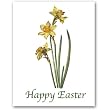 Daffodil, German School, circa 1790 - Easter Gift Enclosure Cards (set of 12)
