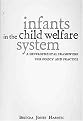 Infants In The Child Welfare System (A Developmental Framework for Policy and Practice) (Paperback)