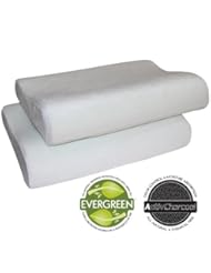 Sleep Master 2-Pack Contour Memory Foam Pillows