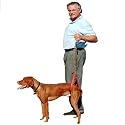 Bottoms Up Rear-End Support Leash - Red