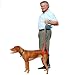 Bottoms Up Rear-End Support Leash - Red