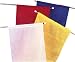 41U52JQuRoL. SL75  StylePlus V1 Practice Flags, Royal
