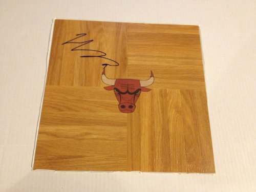 Chicago Bulls LUOL DENG Signed Autographed NBA Basketball Floorboard COA