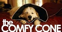 Comfy Cone Extra Large 30 CM