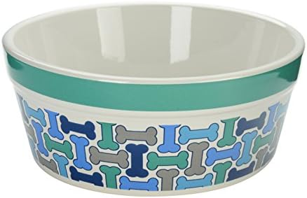 Signature Pets Treats Dog Bowl, Small, Green Rim