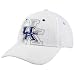 Zephyr Kentucky Wildcats White Double Logo Flex-Fit Hat