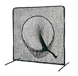 ２ｘ２ｍ　ティバッティング用Ｗネット　LYZ-TN002の画像