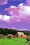 Place of Shelter (New American Fiction)