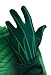 Search : Rubie's Costume Co Men's Green Lantern Adult Gloves
