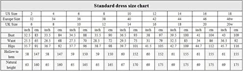 R&J Women's Floor length Appliques Bridesmaid Formal Chiffon Evening Gowns Royal Blue Size 10