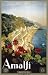 Fridgedoor Palazzo Vecchio Florence Italy Travel Poster Magnet