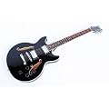 Jazz & Blues E-Gitarre Semi Acoustic, schwarz