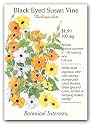 Botanical Interests 1119 Black-Eyed Susan Vine Seed Packet