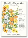 Amazon / Hirts: Seed; Vines & Groundcovers: Black Eyed Susan Vine Seed - 500mg - Thunbergia
