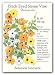 Black Eyed Susan Vine Seed - 500mg - Thunbergia