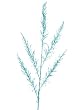 34" Winter Frost Sky Blue Glittered Fern Branch Christmas Spray