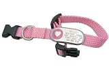 Jewelry ID Collar - Personalized Jewelry Pet ID Tag Attached to an Adjustable Nylon Collar