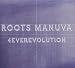 4everevolution  from Big Dada
