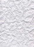 Paper - Peel and Stick Wall Decal by Wallmonkeys