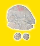 Wedding Dress fits 12 Snuggl'ems, 8 - 10 Stuffed Animal kits & most Webkinz & Shining Star animals