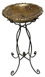 Hen Feathers Oxidized Brass Birdbath with Wrought Iron Stand
