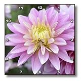 Dahlia Flower- Zen Flowers- Floral Photography - 10x10 Wall Clock