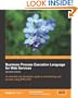 Business Process Execution Language for Web Services BPEL and BPEL4WS 2nd Edition