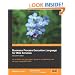 Business Process Execution Language for Web Services BPEL and BPEL4WS 2nd Edition
