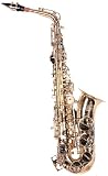 Lauren LAS100 Eb Alto Saxophone Outfit - B0007LNGGM