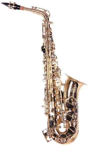 Lauren Beginner Alto Saxophone Outfit