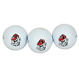 Team Effort Georgia Bulldogs Golf Ball 3 Pack