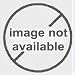 Intercomp Part 140623 PDA with 900 MHz Scale Read Software