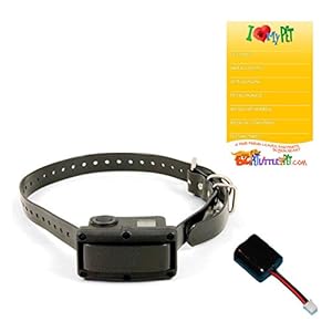 SportDOG Rechargeable NoBark 10R Bark Control Collar PLUS (1) FREE Replacement Battery PLUS (1) FREE Magnet SportDOG Rechargeable NoBark 10R Bark Control Collar PLUS (1) FREE Replacement Battery PLUS (1) FREE Magnet