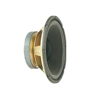 EUROPSONIC HP25/100 HP HAUT PARLEUR NU 8 OHMS 100/200W [Appareils électroniques]