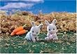 Calico Critters Cottontail Rabbit Twins