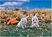 CALICO CRITTERS COTTONTAIL RABBIT TWINS